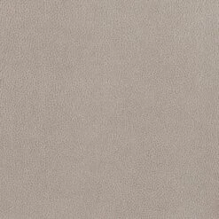 Other Side Chair In Beige Fabric W/ Orbital Seat -Home Furnishings Store 1500 1500 frame 0 1520