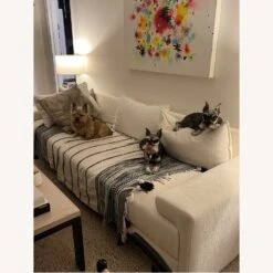 CB2 Camden Sofa 10 CB2 Camden Sofa -Home Furnishings Store 1500 1500 frame 0 3270