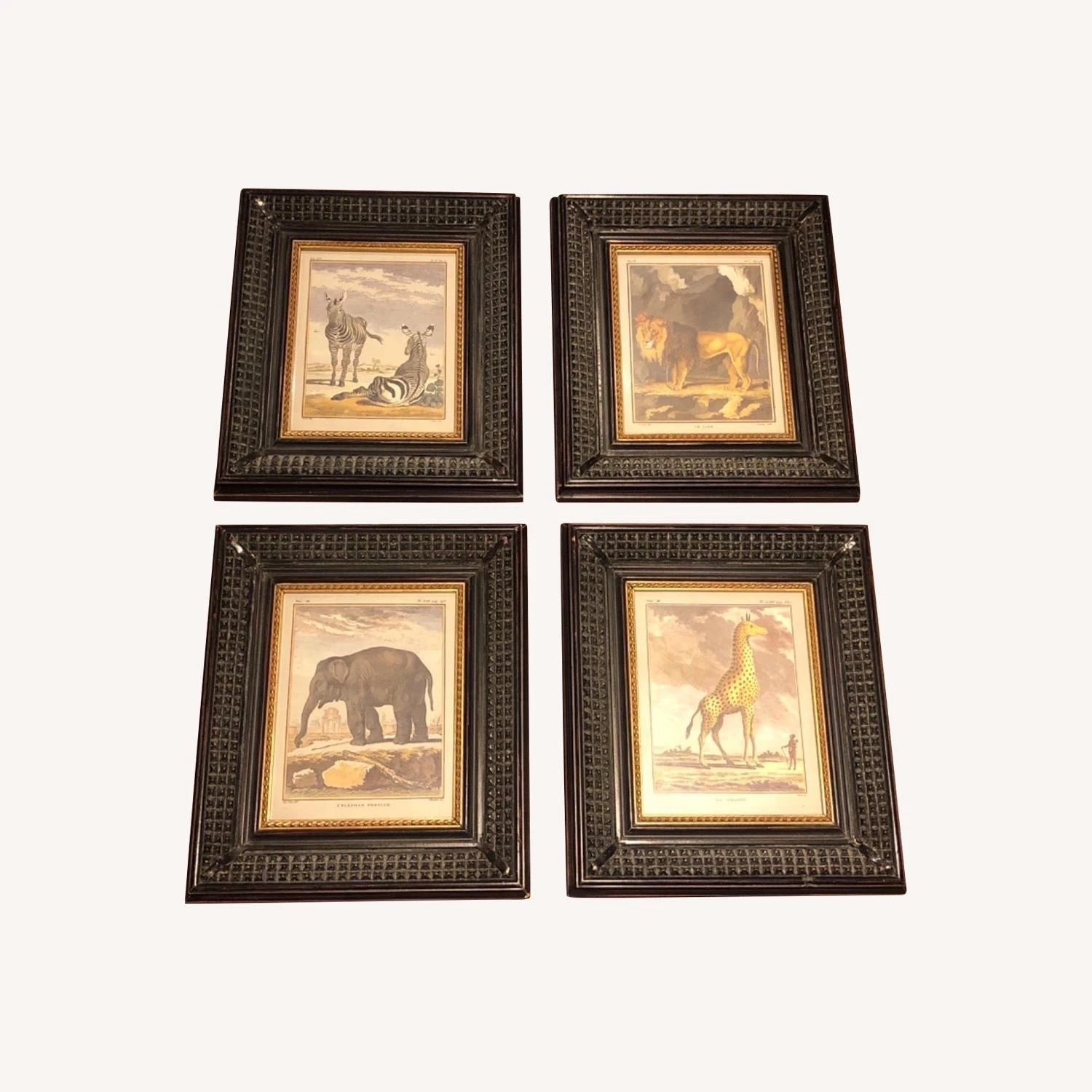 Other African Safari Animals Picture Frames 5 Other African Safari Animals Picture Frames - Image 3
