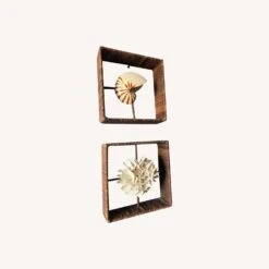 Shadow Boxes Of Nautilus And Cake Coral -Home Furnishings Store 1500 1500 frame 0 9609